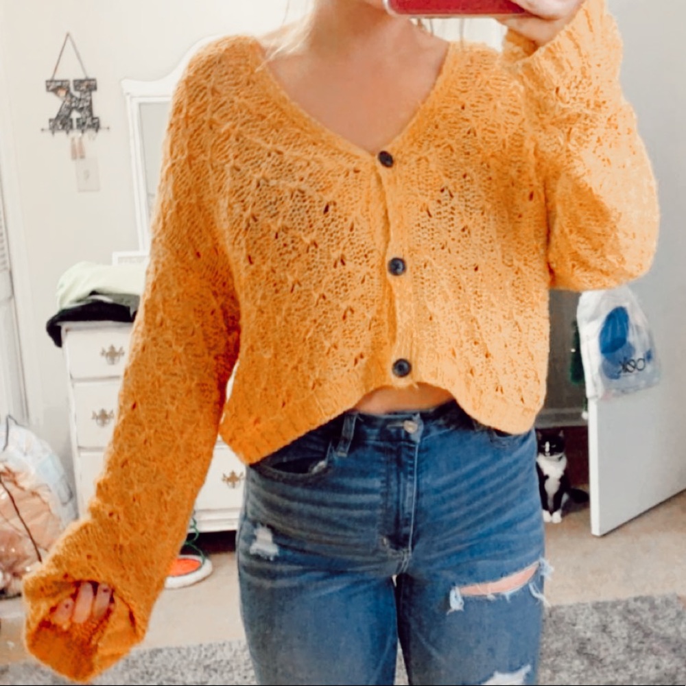 American Eagle Cropped Cardigan Sweater